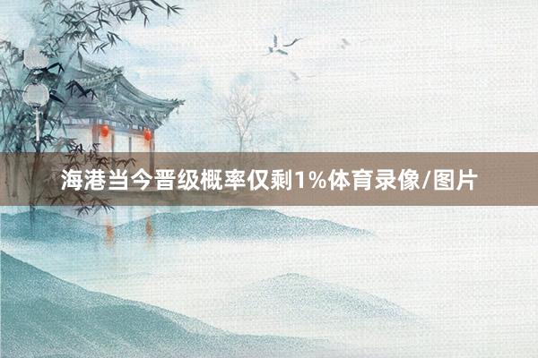 海港当今晋级概率仅剩1%体育录像/图片