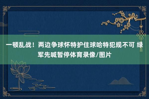 一顿乱战！两边争球怀特护住球哈特犯规不可 绿军先喊暂停体育录像/图片