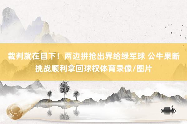 裁判就在目下！两边拼抢出界给绿军球 公牛果断挑战顺利拿回球权体育录像/图片