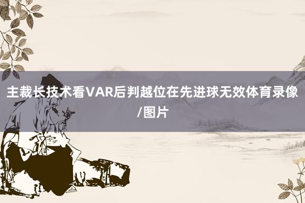 主裁长技术看VAR后判越位在先进球无效体育录像/图片