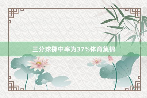 三分球掷中率为37%体育集锦