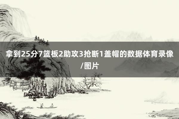 拿到25分7篮板2助攻3抢断1盖帽的数据体育录像/图片