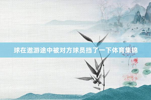 球在遨游途中被对方球员挡了一下体育集锦