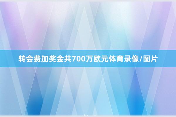 转会费加奖金共700万欧元体育录像/图片