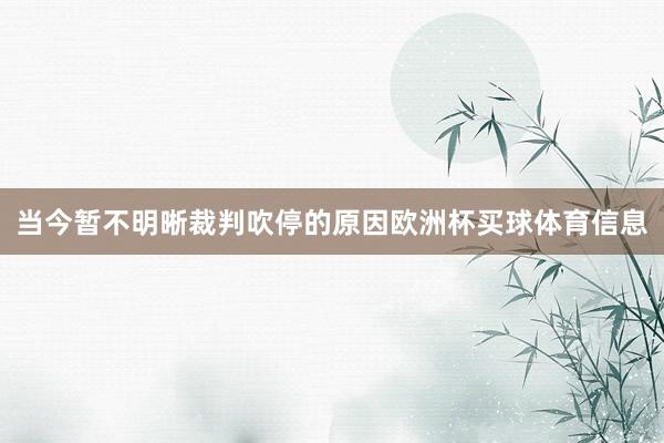 当今暂不明晰裁判吹停的原因欧洲杯买球体育信息
