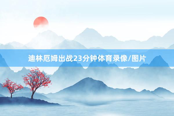 迪林厄姆出战23分钟体育录像/图片