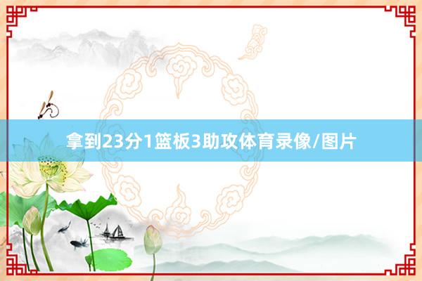 拿到23分1篮板3助攻体育录像/图片