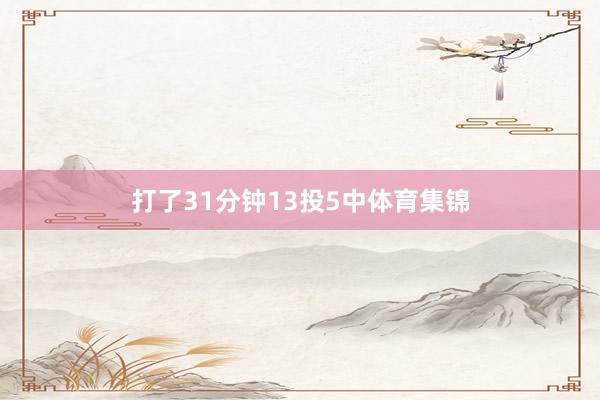 打了31分钟13投5中体育集锦