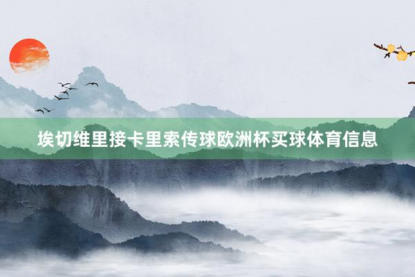 埃切维里接卡里索传球欧洲杯买球体育信息