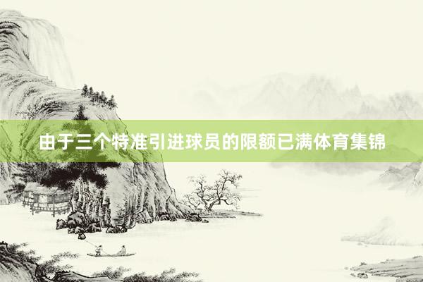 由于三个特准引进球员的限额已满体育集锦