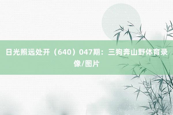 日光照远处开（640）　　047期：三狗奔山野体育录像/图片