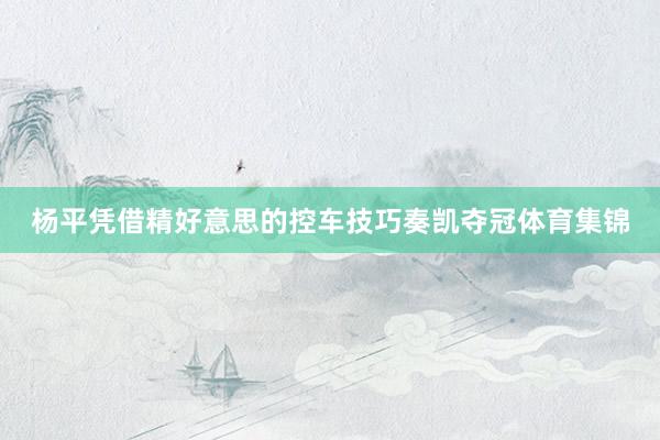 杨平凭借精好意思的控车技巧奏凯夺冠体育集锦