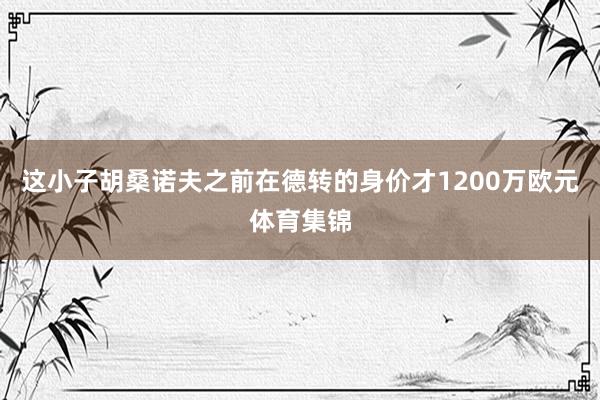这小子胡桑诺夫之前在德转的身价才1200万欧元体育集锦