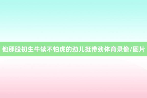 他那股初生牛犊不怕虎的劲儿挺带劲体育录像/图片