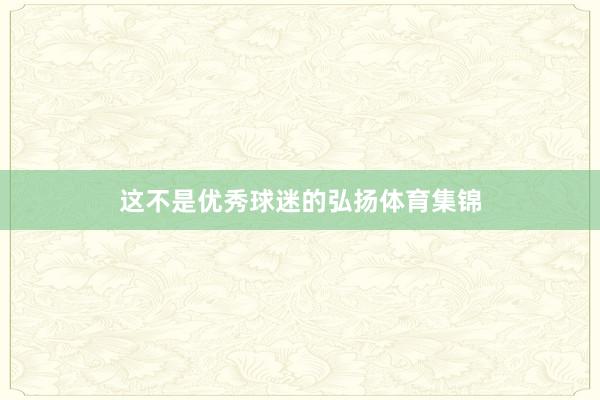 这不是优秀球迷的弘扬体育集锦