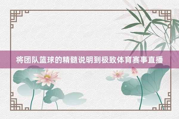 将团队篮球的精髓说明到极致体育赛事直播