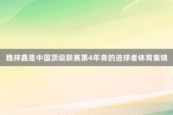 魏祥鑫是中国顶级联赛第4年青的进球者体育集锦
