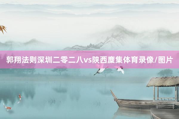 郭翔法则深圳二零二八vs陕西麇集体育录像/图片