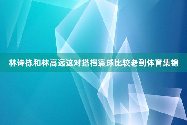 林诗栋和林高远这对搭档寰球比较老到体育集锦