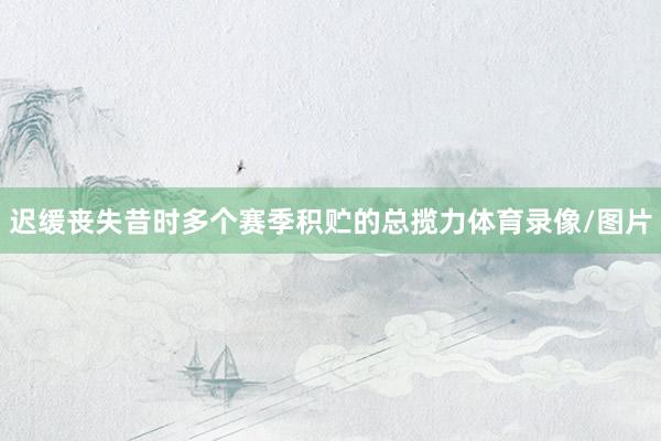 迟缓丧失昔时多个赛季积贮的总揽力体育录像/图片