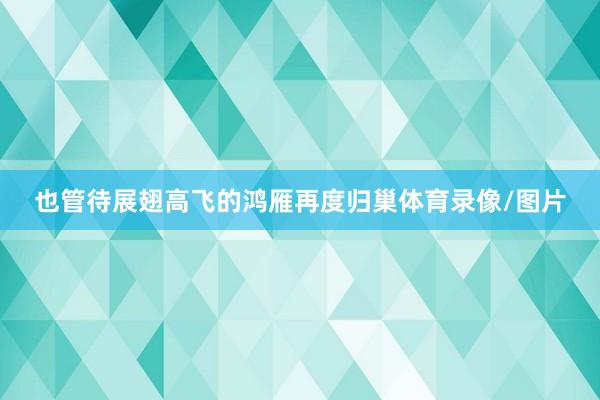 也管待展翅高飞的鸿雁再度归巢体育录像/图片