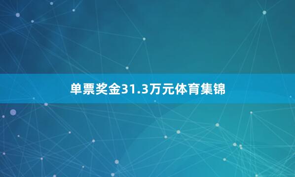 单票奖金31.3万元体育集锦