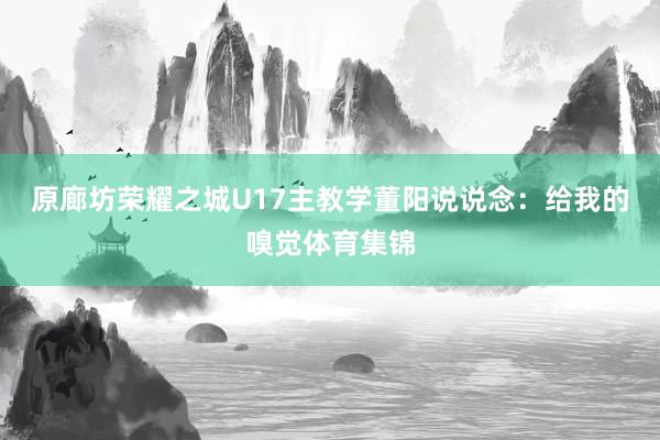 原廊坊荣耀之城U17主教学董阳说说念：给我的嗅觉体育集锦