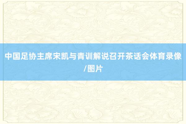 中国足协主席宋凯与青训解说召开茶话会体育录像/图片