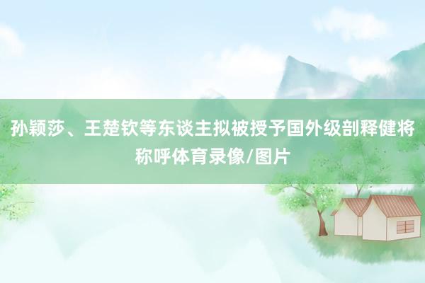 孙颖莎、王楚钦等东谈主拟被授予国外级剖释健将称呼体育录像/图片