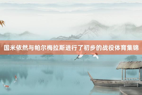 国米依然与帕尔梅拉斯进行了初步的战役体育集锦