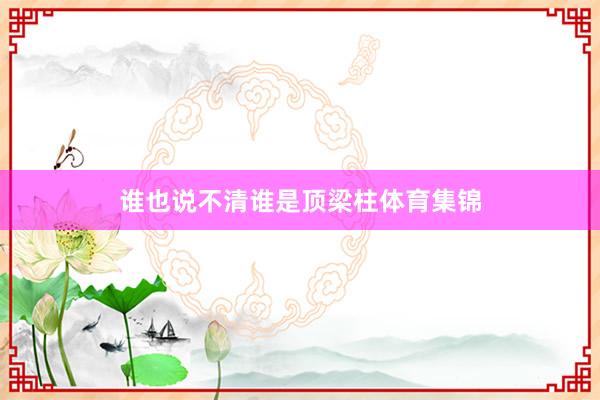 谁也说不清谁是顶梁柱体育集锦