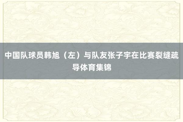 中国队球员韩旭（左）与队友张子宇在比赛裂缝疏导体育集锦