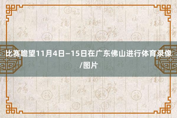 比赛瞻望11月4日—15日在广东佛山进行体育录像/图片