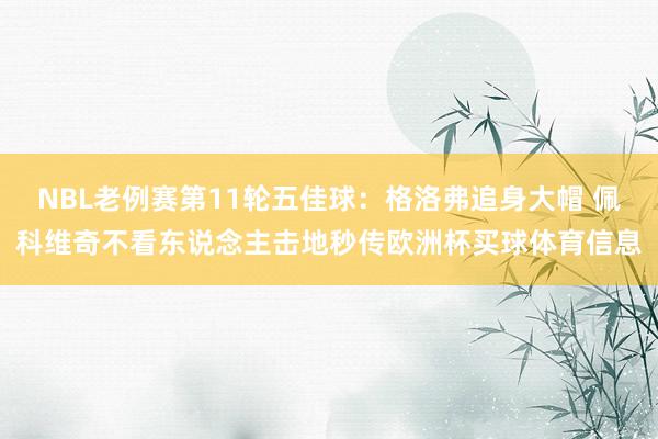 NBL老例赛第11轮五佳球：格洛弗追身大帽 佩科维奇不看东说念主击地秒传欧洲杯买球体育信息