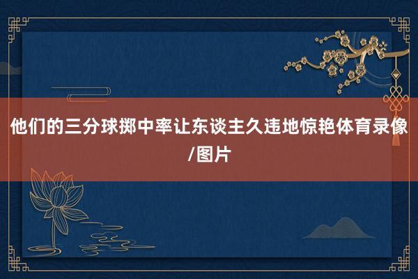他们的三分球掷中率让东谈主久违地惊艳体育录像/图片