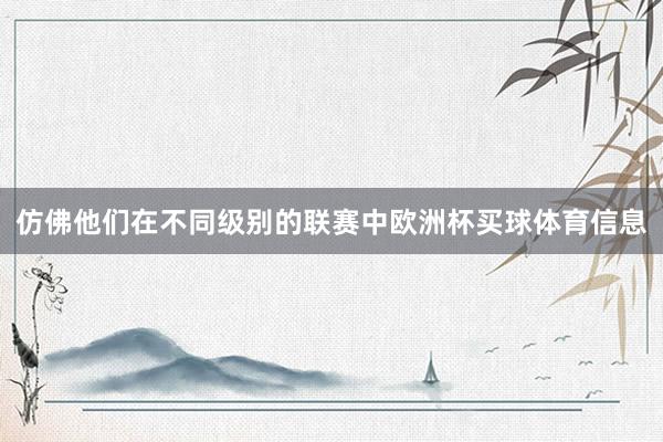 仿佛他们在不同级别的联赛中欧洲杯买球体育信息