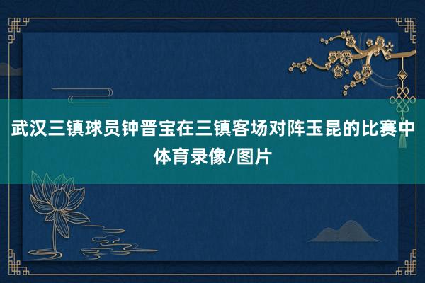 武汉三镇球员钟晋宝在三镇客场对阵玉昆的比赛中体育录像/图片