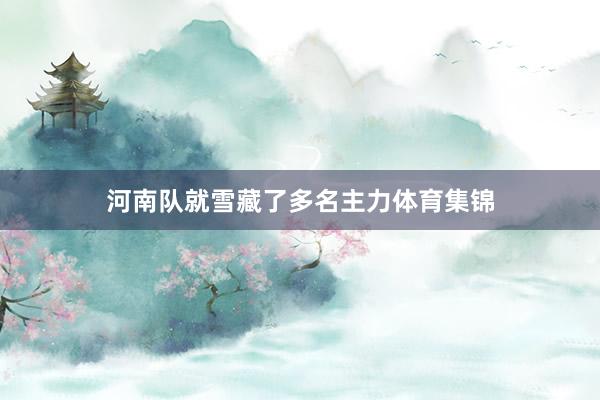 河南队就雪藏了多名主力体育集锦