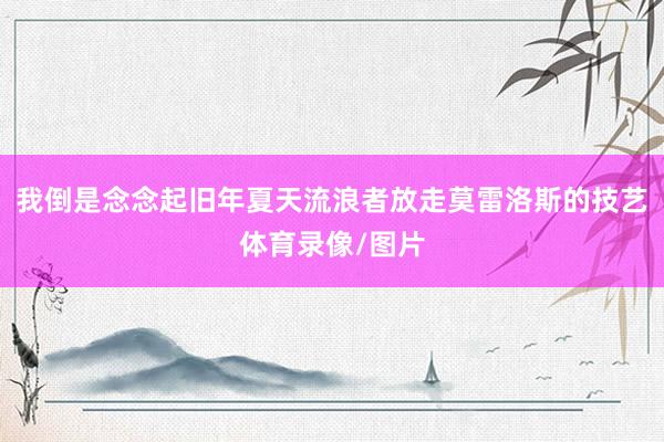 我倒是念念起旧年夏天流浪者放走莫雷洛斯的技艺体育录像/图片