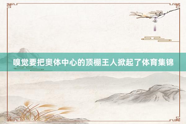 嗅觉要把奥体中心的顶棚王人掀起了体育集锦