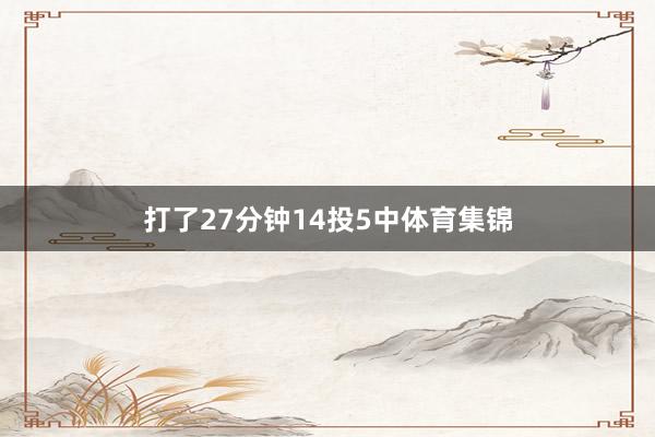 打了27分钟14投5中体育集锦