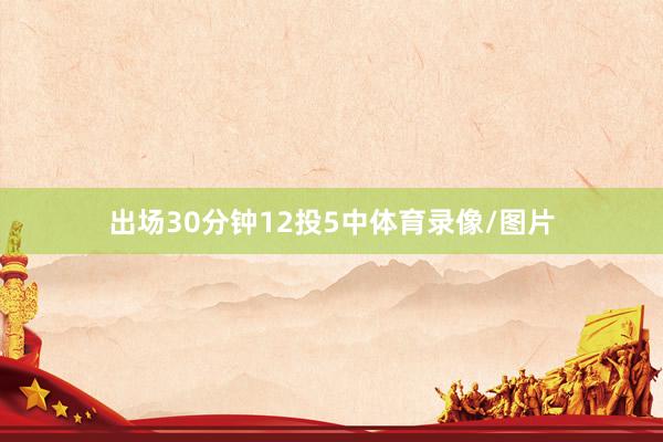 出场30分钟12投5中体育录像/图片