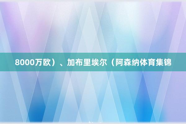 8000万欧)、加布里埃尔(阿森纳体育集锦