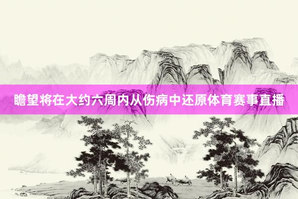 瞻望将在大约六周内从伤病中还原体育赛事直播