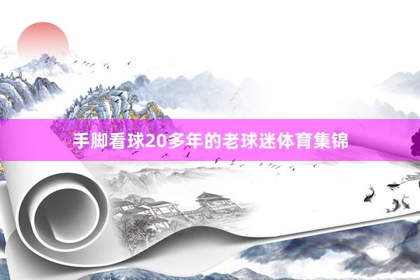 手脚看球20多年的老球迷体育集锦