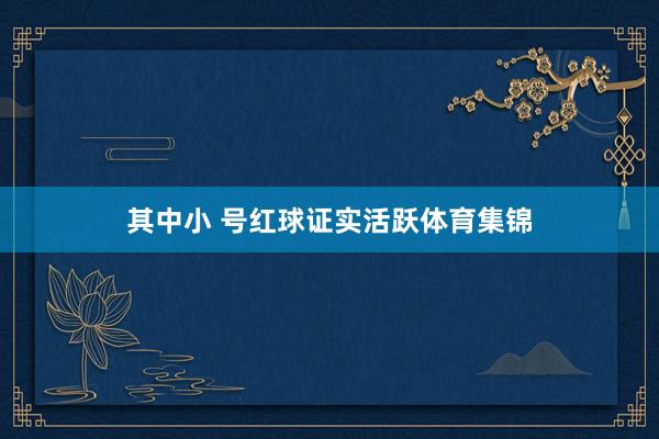 其中小 号红球证实活跃体育集锦
