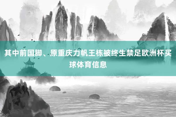其中前国脚、原重庆力帆王栋被终生禁足欧洲杯买球体育信息