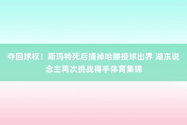 夺回球权！斯玛特死后捅掉哈滕接球出界 湖东说念主再次挑战得手体育集锦