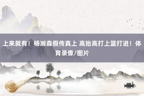 上来就有！杨瀚森假传真上 高抬高打上篮打进！体育录像/图片