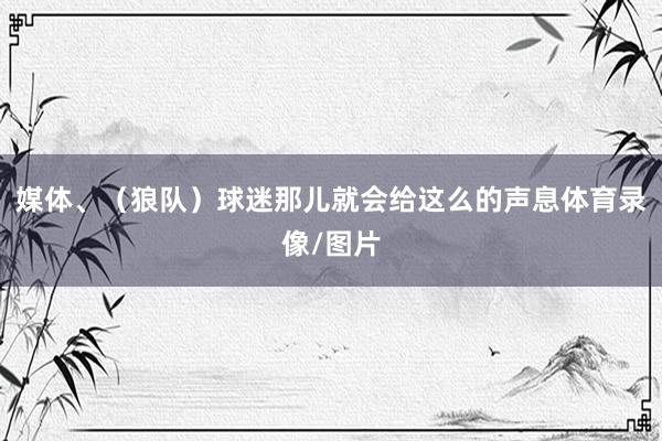媒体、(狼队)球迷那儿就会给这么的声息体育录像/图片